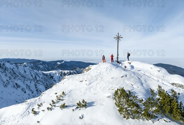 Ski tourer on the summit of the Aiplspitz, Mangfall mountains, Bavarian Prealps, Bavaria, Tyrol,