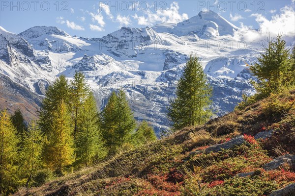 Snow-covered mountains in the background, colourful autumn trees in the foreground under a clear