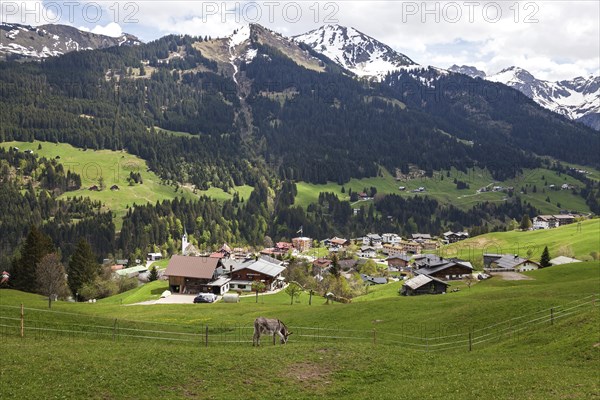 View of Mittelberg, back mountains of the Allgaeu Alps, Kleinwalsertal, Vorarlberg, Austria, Europe