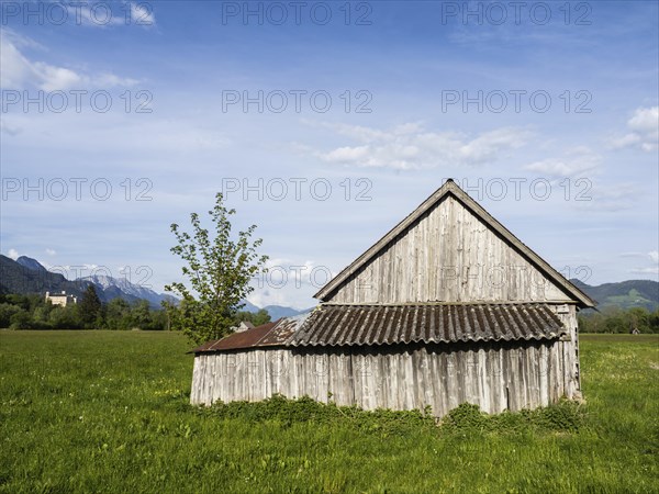 Hay barn in the evening light, behind Trautenfels Castle, near Irdning, Ennstal, Styria, Austria,