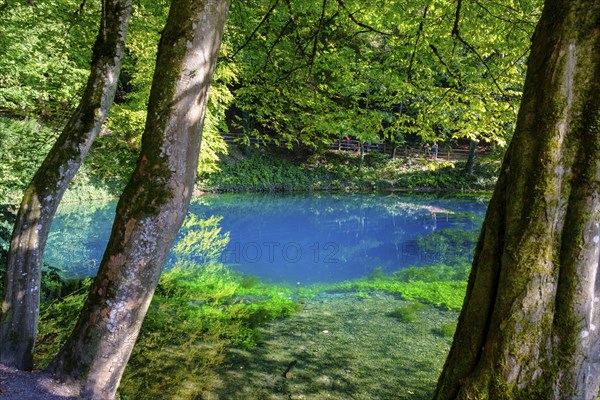 Blue spring, karst pot, Blautopf, Blaubeuren, Swabian Alb, Baden-Wuerttemberg, Germany, Europe