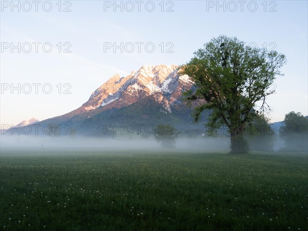 Morning light falls on a mountain peak, Grimming, early morning fog on the meadow, near Irdning,
