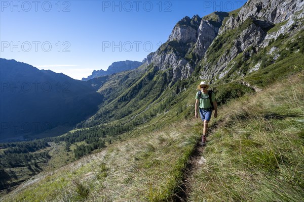 Mountaineer on hiking trail, mountain landscape with green mountain meadows and rocky peaks, Carnic