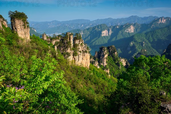 Famous tourist attraction of China, Zhangjiajie stone pillars cliff mountains on sunset at