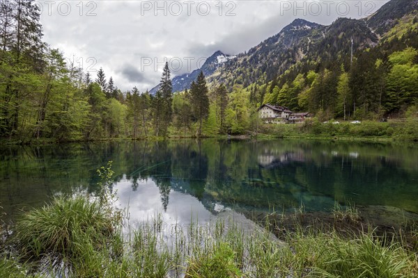 Christlessee, near Gottenried, Trettachtal, Oberstdorf, Oberallgaeu, Allgaeu, Bavaria, Germany,