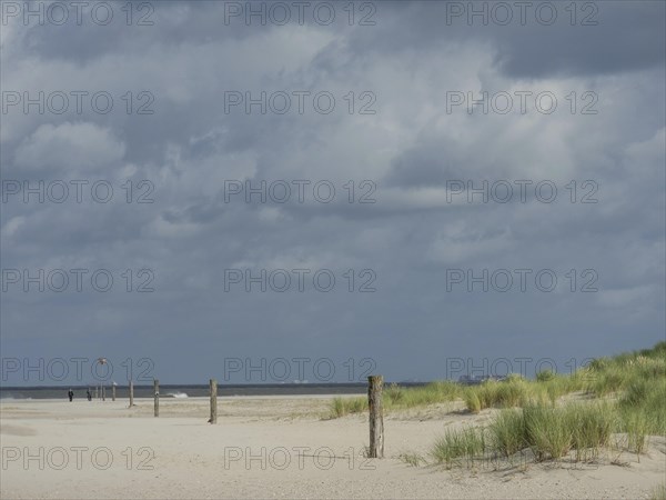 Barren sand dunes with tufts of grass and scattered posts, the sky is cloudy, lonely beach with