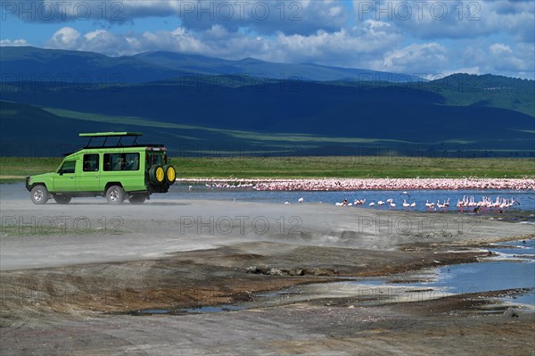 Safari jeep in Ngorongoro Crater, Ngorongoro Conservation Area, Tanzania, Africa
