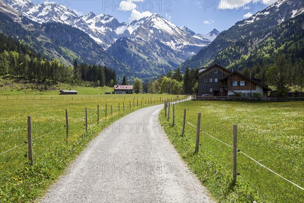 Path in Stillachtal, behind mountains of the Allgaeu Alps, Birgsau, near Oberstdorf, Oberallgaeu,