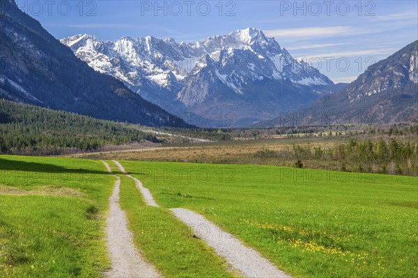 Meadow path in spring with moorland Seven Springs in front of Zugspitzgruppe 2962m in the