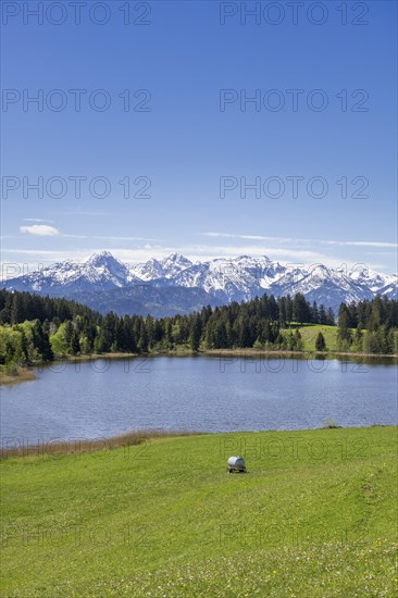 Hegratsrieder See near Fuessen, Allgaeu Alps, snow, forest, Ostallgaeu, Buching, Allgaeu, Bavaria,