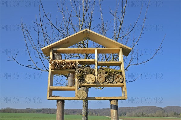 Nesting aid for wild bees and other insects with wood and elder stems, wild bee nesting aid, insect