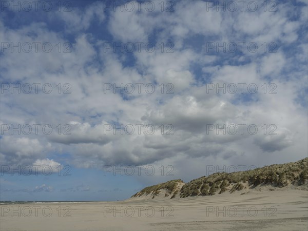 Spacious beach with cloudy sky, view of sand dunes along the coastline, beach and dunes with grass