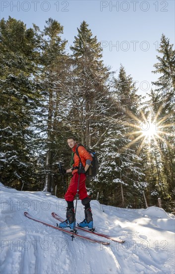 Ski tourers ascending the Aiplspitz, Sonnenstern in the forest, Mangfall mountains, Bavarian
