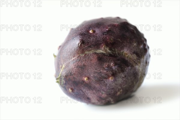 Zanzibar yam or Zanzibar yam (Dioscorea sansibarensis), tuber on a white background