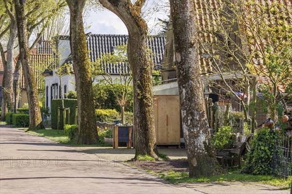 Tree-lined street with houses and gardens on a sunny spring day, historic houses and a church with