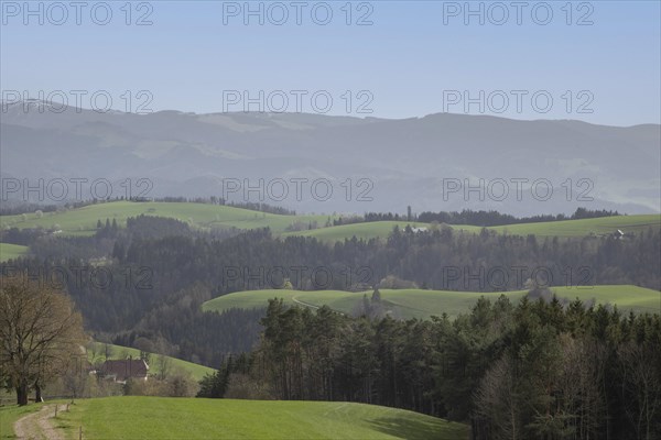 Mountains and trails in the Black Forest, Kandel, Baden-Wuerttemberg, Germany, Europe
