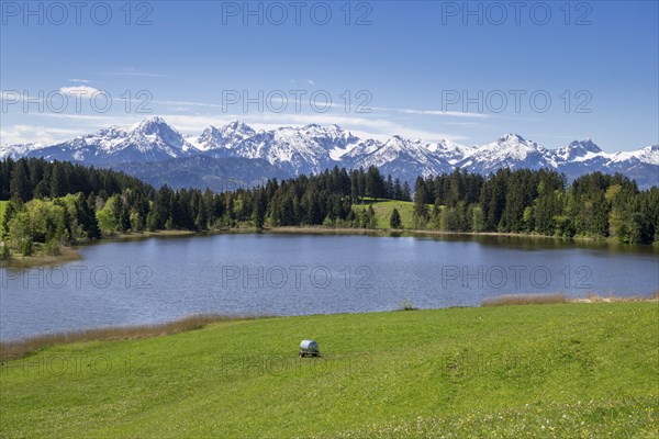 Hegratsrieder See near Fuessen, Allgaeu Alps, snow, forest, Ostallgaeu, Buching, Allgaeu, Bavaria,