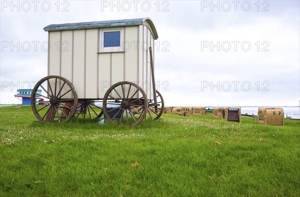 Old wooden cart, bathing cart with drawbar and large wooden wheels on a green meadow, in the