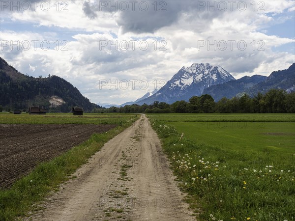 Farmland, field path in a meadow, behind the Grimming, near Woerschach, Ennstal, Styria
