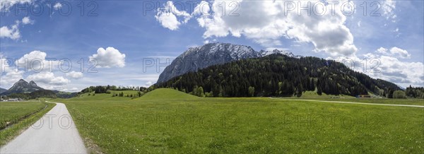 Ennstal cycle path, field path leads through meadows, behind the Grimming, panoramic view, near