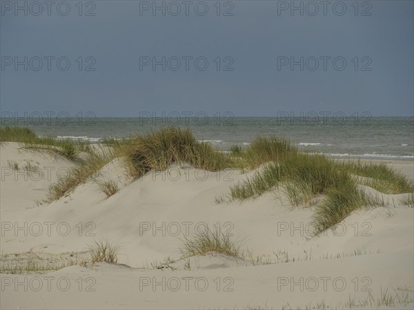 Sand dunes with reeds and calm sea in the background, dunes by the sea with clouds in the blue sky,