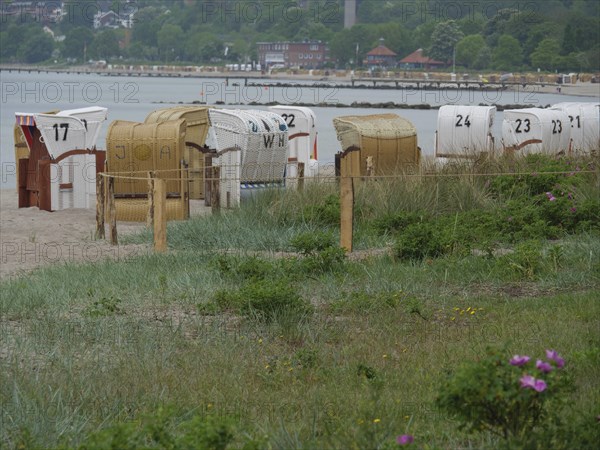 Several beach chairs on a sandy beach with dense vegetation in the foreground and a hilly coastal