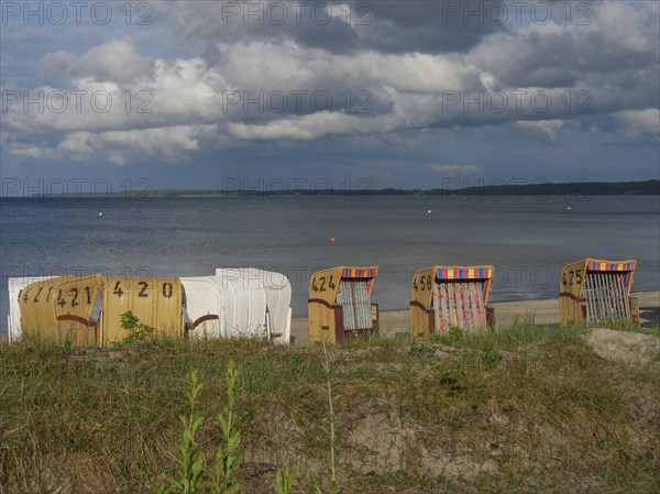Beach chairs on a sandy beach in front of a cloudy sky and a calm sea. Beach grass grows in the