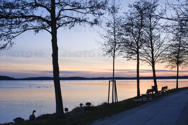 Evening mood at Lake Mueritz, Waren, Mueritz, Mecklenburg Lake District, Mecklenburg,