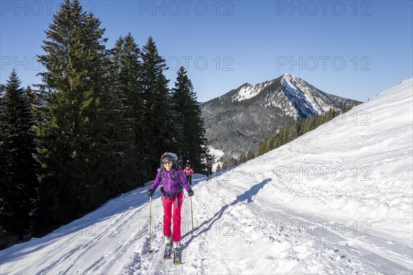 Ski tourer climbing the Aiplspitz, Mangfall mountains, Bavarian Prealps, Bavaria, Tyrol, Germany,
