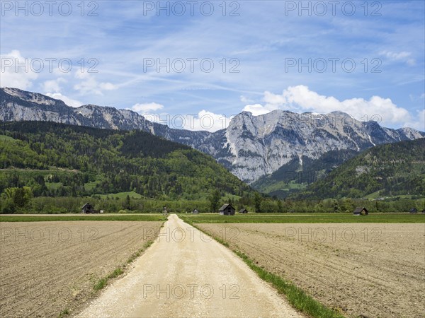 Field path leads through farmland, mountain range behind, near Woerschach, Ennstal, Styria,