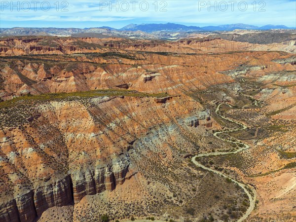 Red rocks and canyons criss-crossed by serpentine roads, embedded in a vast desert landscape,