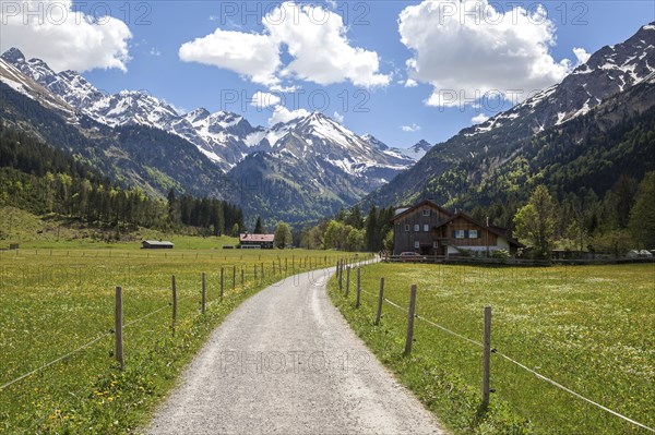 Path in Stillachtal, behind mountains of the Allgaeu Alps, Birgsau, near Oberstdorf, Oberallgaeu,