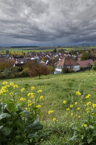 Ehingen am Ries, view from the church hill, Noerdlinger Ries, Swabia, Bavaria, Germany, Europe