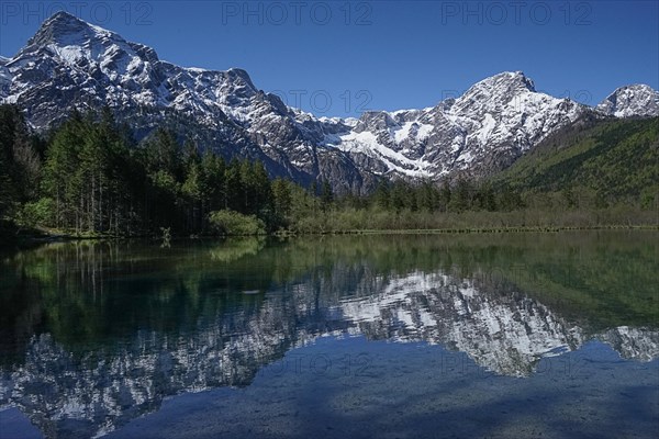 A tranquil lake with the reflection of snow-capped mountains and a forest against a clear blue sky.