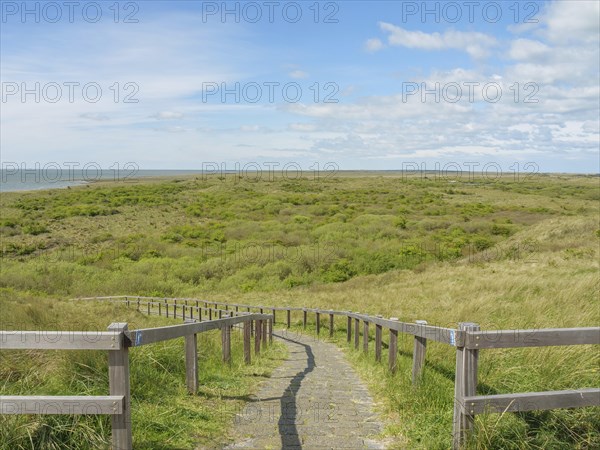 A wooden path leads through the dunes, the sky is blue and covered with clouds, in the background