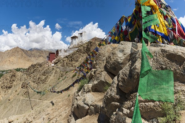 Namgyal Tsemo Gompa Monastery, Tsenmo Hills, Leh, Ladakh, Jammu and Kashmir, India, Asia