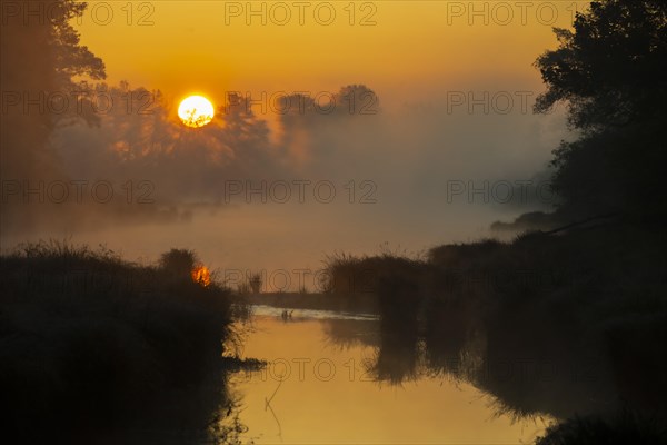 Morning atmosphere, fog, sunlight, backlight, water, Lower Austria