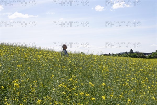 Rape field, man, May, Saxony, Germany, Europe