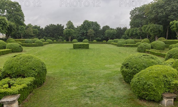 Halbturn Castle, Halbturn, castle park, avenue, Austria, Europe
