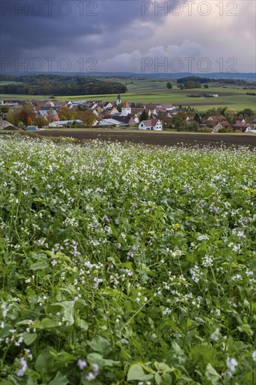 View over Schopflohe near Fremdingen, on the edge of the Ries crater, Noerdlinger Ries, Swabia,