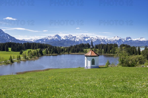Chapel at Hegratsrieder See near Fuessen, Allgaeu Alps, snow, forest, Ostallgaeu, Allgaeu, Bavaria,