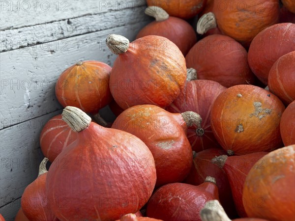 Collection of pumpkins in a wooden box, creating an autumnal atmosphere, many orange pumpkins at