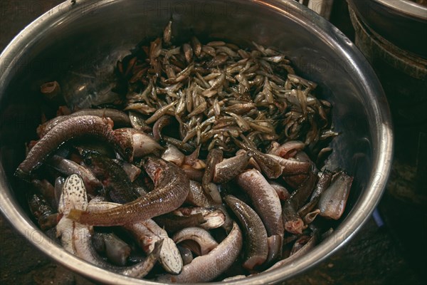 A metal bowl filled with fresh raw seafood in the local traditional Samaki wet market in Kampot