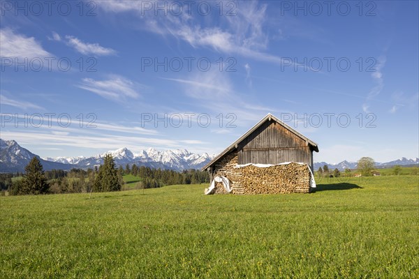 Wooden hut near Fuessen, woodpile, Allgaeu Alps, snow, meadow, Allgaeu, Bavaria, Germany, Europe