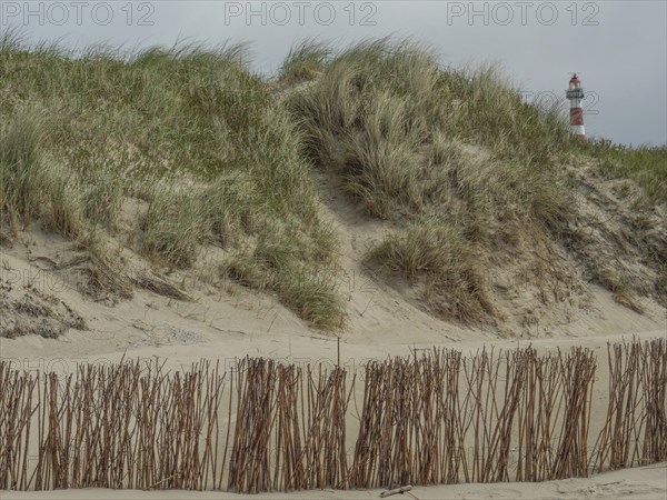 Landscape view of sandy dunes with grass by the sea and a lighthouse in the background, beach and