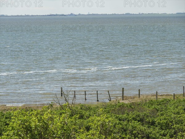 Coastline with green vegetation and sea with gentle waves under a sky, dune and hiking trails at