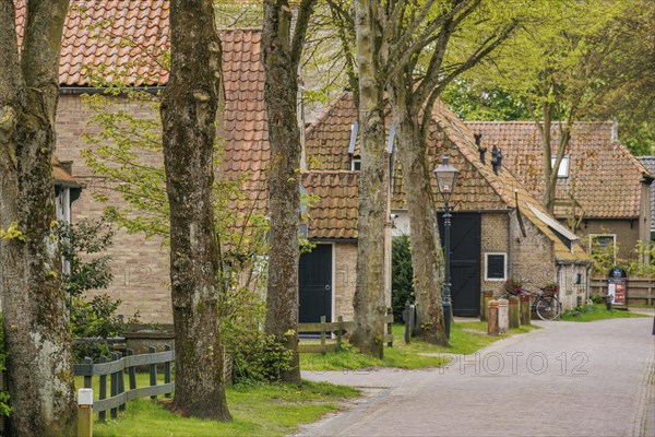 Cosy street with several houses in the background, flanked by large trees, old houses with green