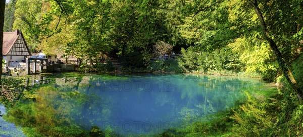 Blue spring, karst pot, Blautopf, Blaubeuren, Swabian Alb, Baden-Wuerttemberg, Germany, Europe