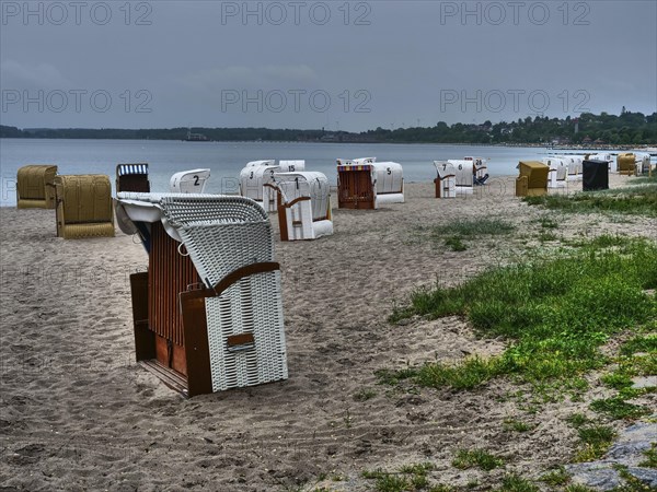 Beach chairs on a sandy beach with the sea in the background under a cloudy sky. Green plants are