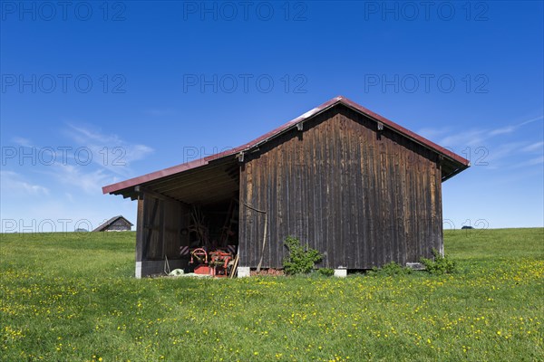 Wooden huts in a meadow near Fuessen, near Buching, Allgaeu, Bavaria, Germany, Europe
